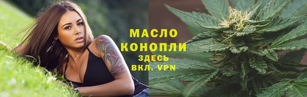 стаф Богородск