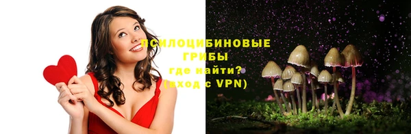 прущие грибы Богородицк