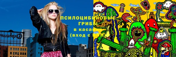прущие грибы Богородицк