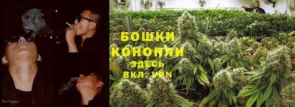 прущие грибы Богородицк