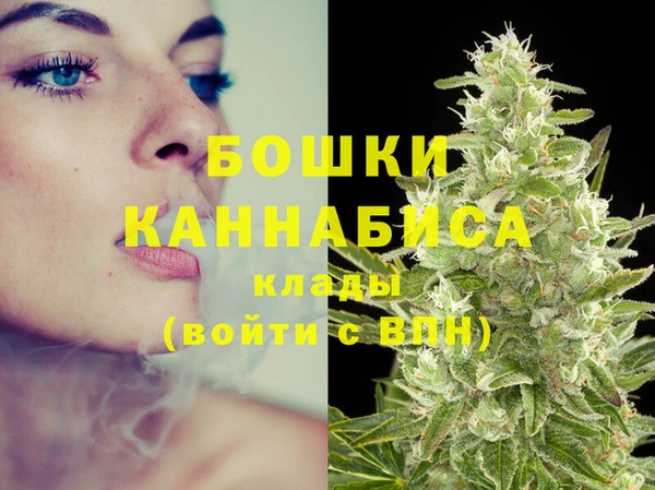 PSILOCYBIN Бородино