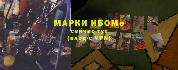 прущие грибы Богородицк